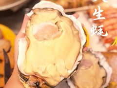 -东记炭炉·海鲜鸡煲(龙华店)