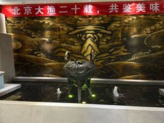 -大渔之观(安贞店)
