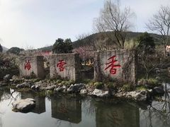 -香雪海
