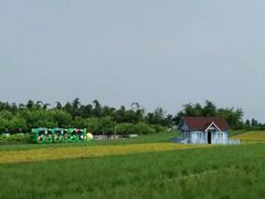 -广州花之恋城堡酒店