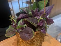 -一朵菌·野生菌探索家火锅(南亚店)