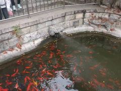 -红螺寺