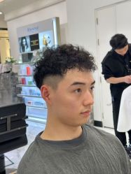 -YESIDO椰岛造型