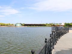 -营地公园·团建拓展·亲子户外(奉贤店)