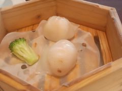 -顺德美的万豪酒店-万豪中餐厅