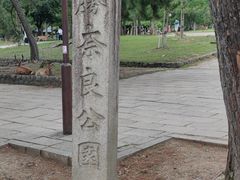 -奈良公园