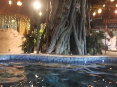 -泉城欧乐堡戏水湾艺术养生温泉