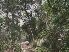 -大岭沟猕猴桃谷风景区