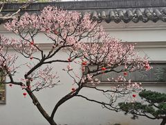 -南园(太仓市)