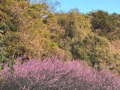 -鼓岭旅游度假区