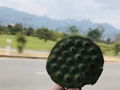 -江西龙虎山景区