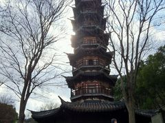 -上海佘山国家森林公园西佘山园