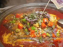 -探鱼·鲜青椒爽麻烤鱼(领展购物广场店)