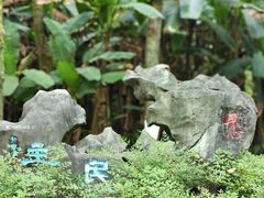 -重庆彩云湖湿地公园