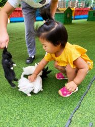 -萌宠亲子动物乐园(槐房万达店)