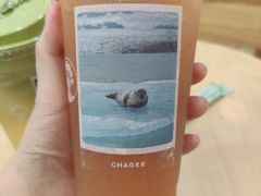 -深圳湾木棉花酒店