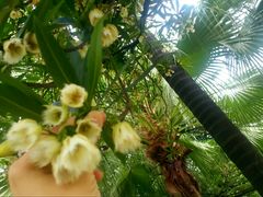 -西樵山风景名胜区-天湖公园