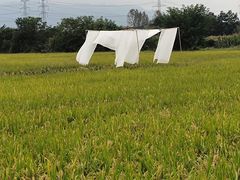 -林间山庄