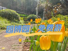 -重庆园博园
