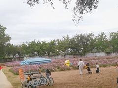 -光明农场大观园