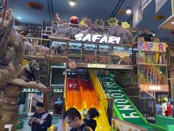 -卡通尼·Safari非洲探索乐园·生日会(金桥国际商业广场店)