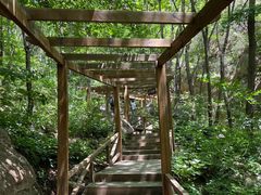 -大岭沟猕猴桃谷风景区