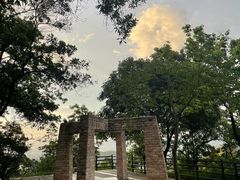 -风云岭森林公园