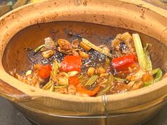 -天宝食坊·啫啫煲大排档(西华路店)