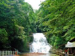 -碧峰峡风景区