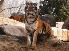 -北京野生动物园