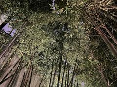 -穹六人间 people 6(岳阳路店)
