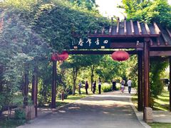 -鹅湖玫瑰文化园