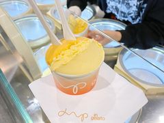 柿子-DIP in GELATO(富民路店)
