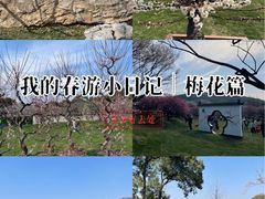 -无锡梅园公园