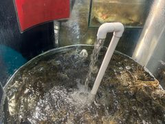-仙螺岛海鲜自助餐厅(总店)
