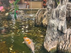 -丰圆轩粤式茶楼 . 点心粤菜(夏茅店)