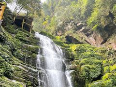 -碧峰峡风景区