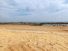 -日照海滨国家森林公园