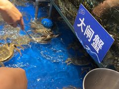 -亚马逊蒸汽活海鲜自助(LCM置汇旭辉广场店)