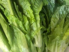 -芭夯兔·兔肉汤锅(新都店)