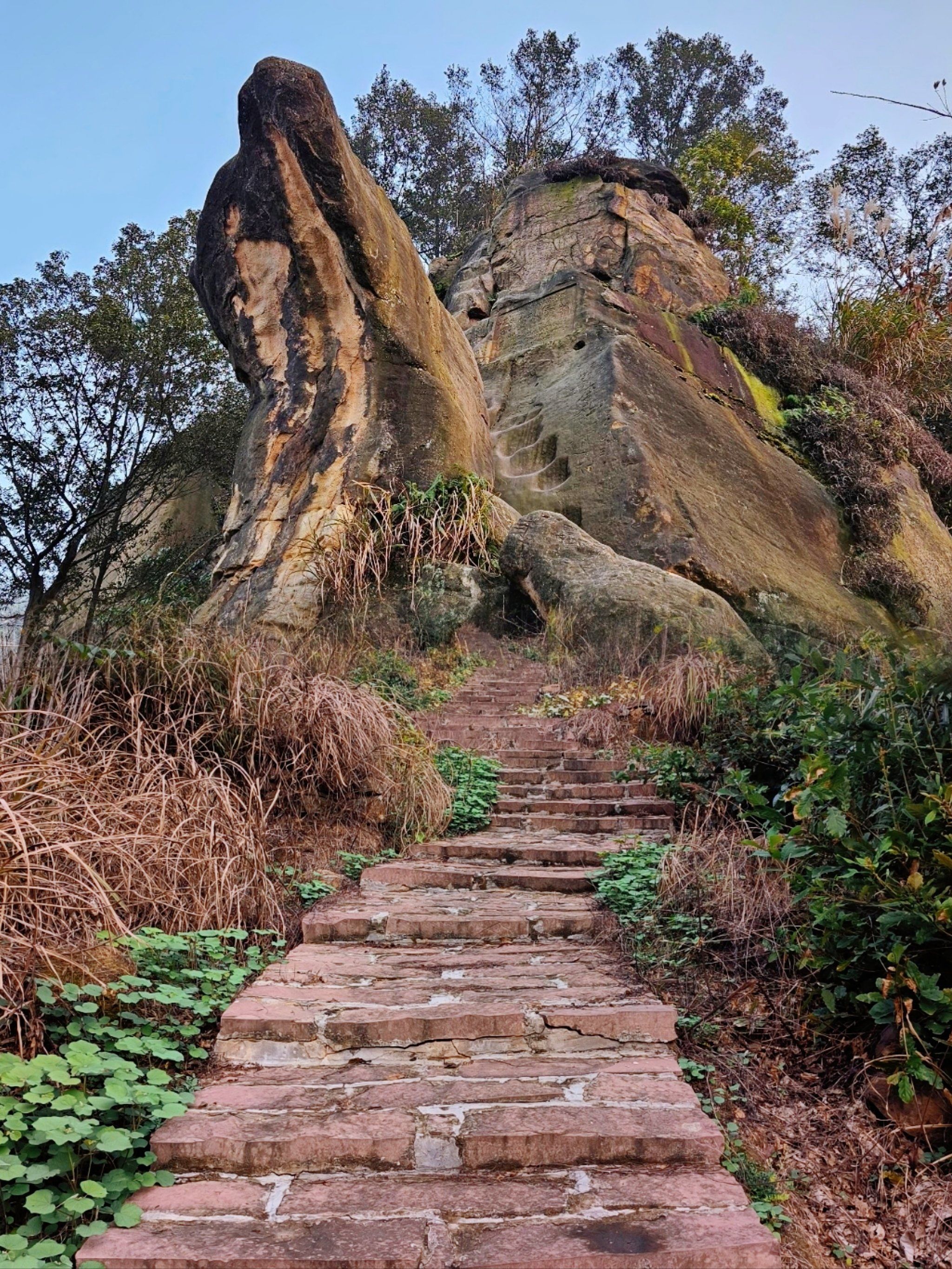 重庆主城1h🍁虎峰山徒步赏秋顺带捡个秋🌟