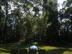 -大埔公路-马料水段香港中文大学(公交站)