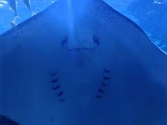 -石林冰雪海洋世界