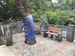 -安胖老火锅(两路口店)