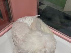 -FAELING PETS美天灵宠物(合生汇店)