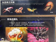 -青岛海底世界-水族馆