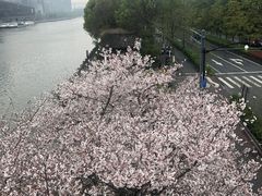 -运河游船(武林门码头)