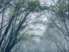 -西溪南古村落景区