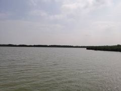 -西青郊野公园