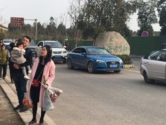 -秀丽东方